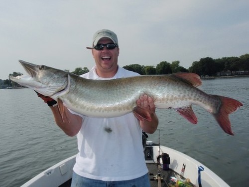 Muskies Inside Out